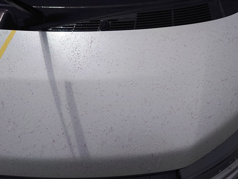 【小麦粉洗車】本当に汚れが落ちる？やり方は？デメリットない？片栗粉と対決！